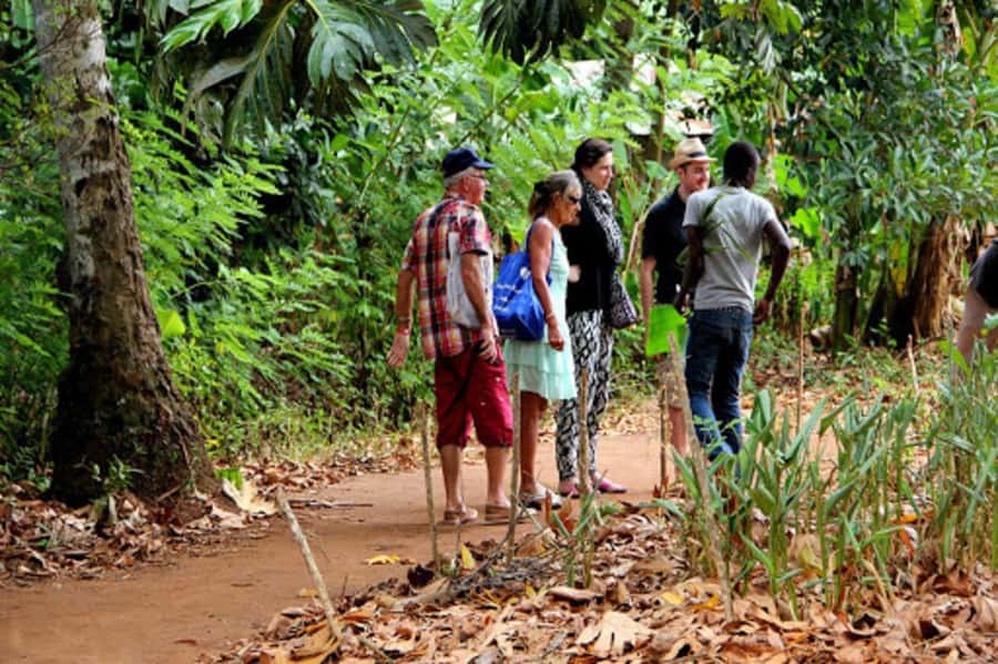 Zanzibar: Jozani forest tour & Spice farm tour with lunch - Why this Zanzibar combo tour is a smart use of 6 hours