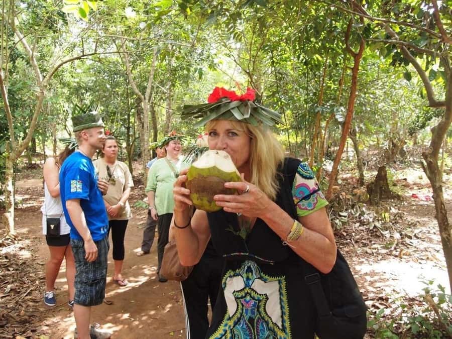 Zanzibar: Jozani forest tour & Spice farm tour with lunch - Spice farm walking tour: what you’ll actually learn and taste