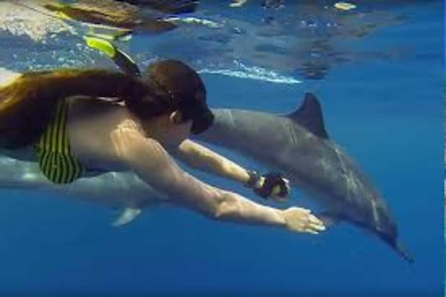 ZANZIBAR: Mnemba island, Baraka aquarium and spice farm - Price and Value: Is $140 Worth It?