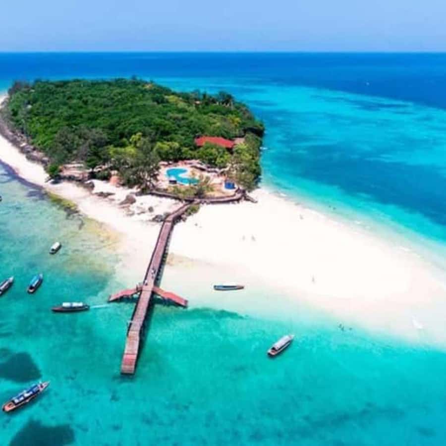 ZANZIBAR: Prison Island, Spice Farm Visit & Turtle Swim Tour - Key things to know before you go