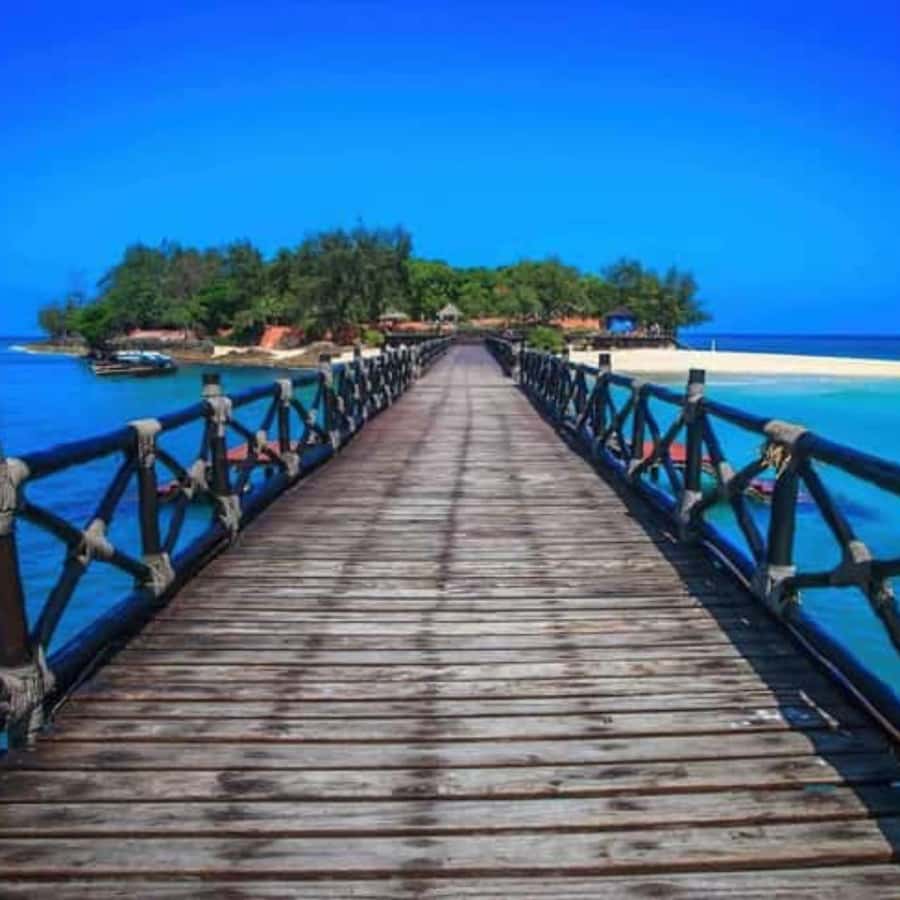 ZANZIBAR: Prison Island, Spice Farm Visit & Turtle Swim Tour - Salaam Cave Turtle Swim: The Day’s Water Moment
