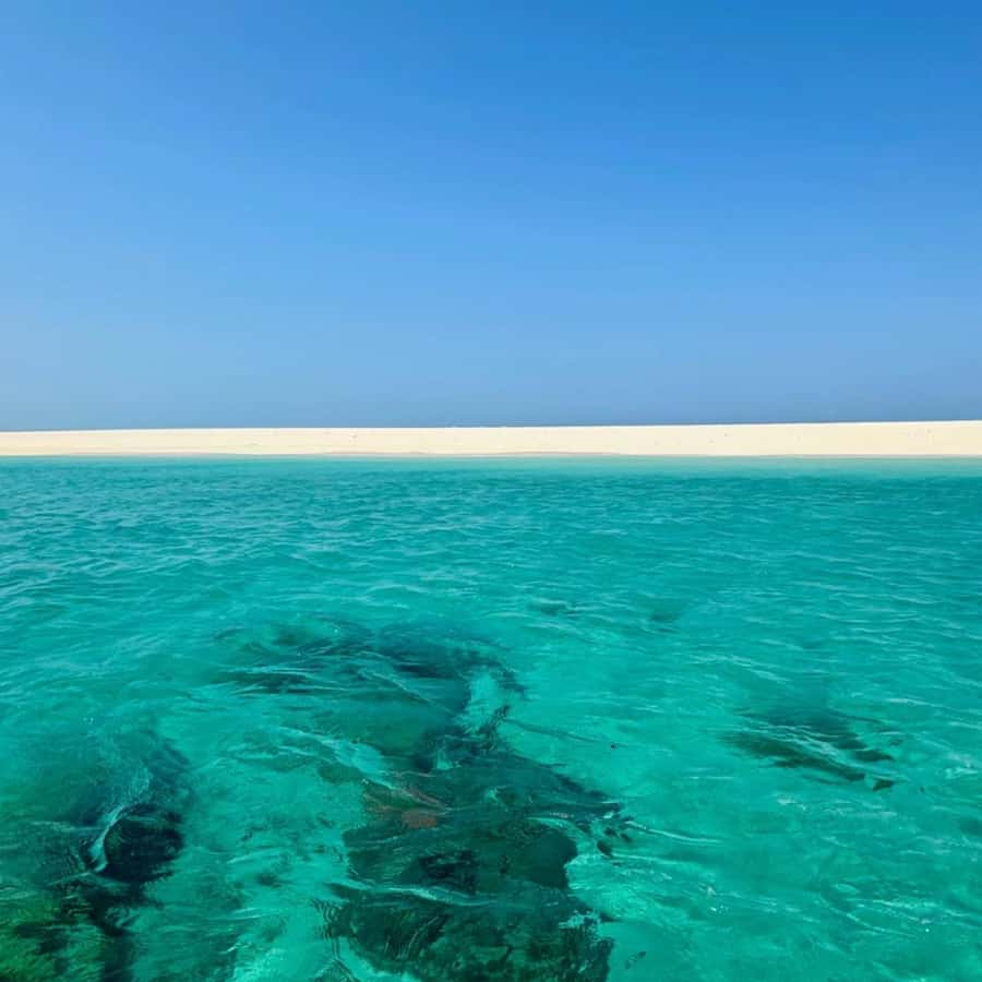 ZANZIBAR: Prison Island, Spice Farm Visit & Turtle Swim Tour - Timing, Transport, and Real-World Logistics in Stone Town