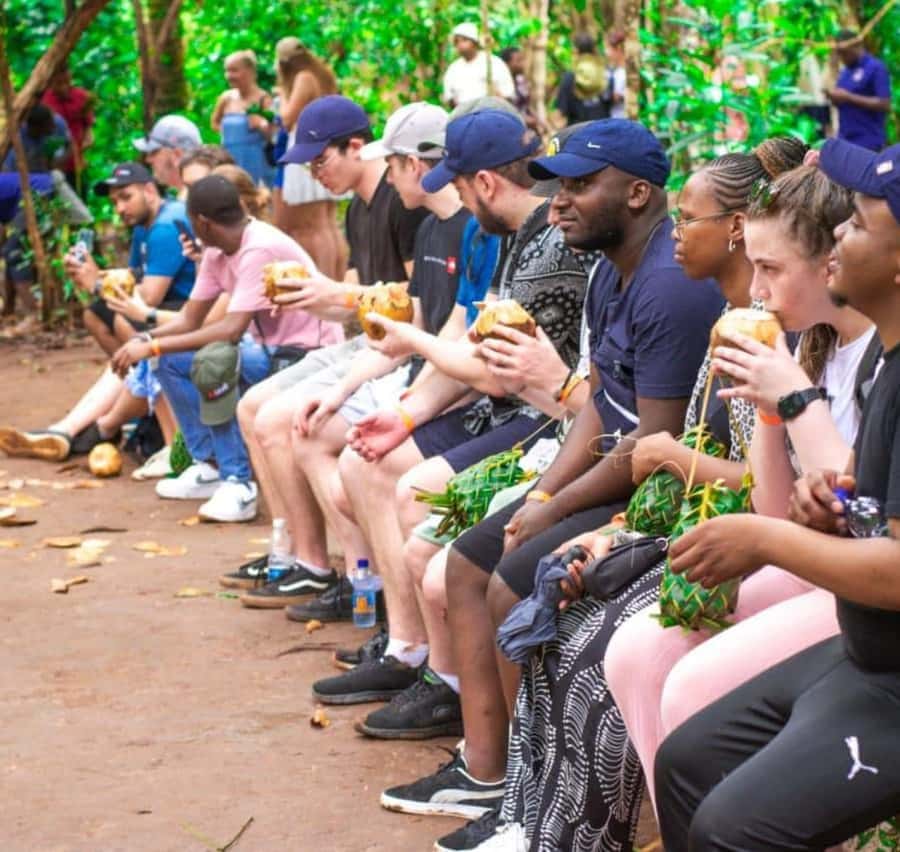 ZANZIBAR: Prison Island, Spice Farm Visit & Turtle Swim Tour - Who This Tour Is Best For