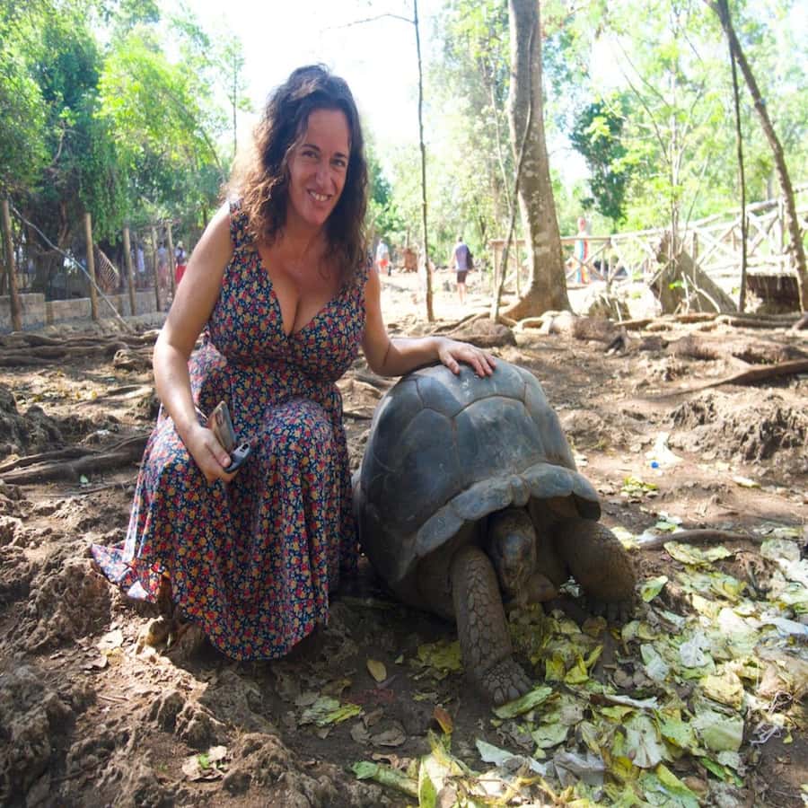 ZANZIBAR: Prison Island, Spice Farm Visit & Turtle Swim Tour - Should You Book This Zanzibar Day?