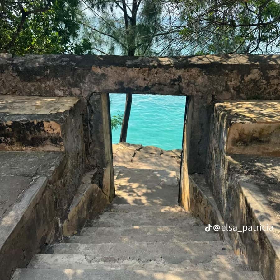 ZANZIBAR: Prison Island, Spice Farm Visit & Turtle Swim Tour - Spice Farm Visits: What You’ll Taste and How It Feels