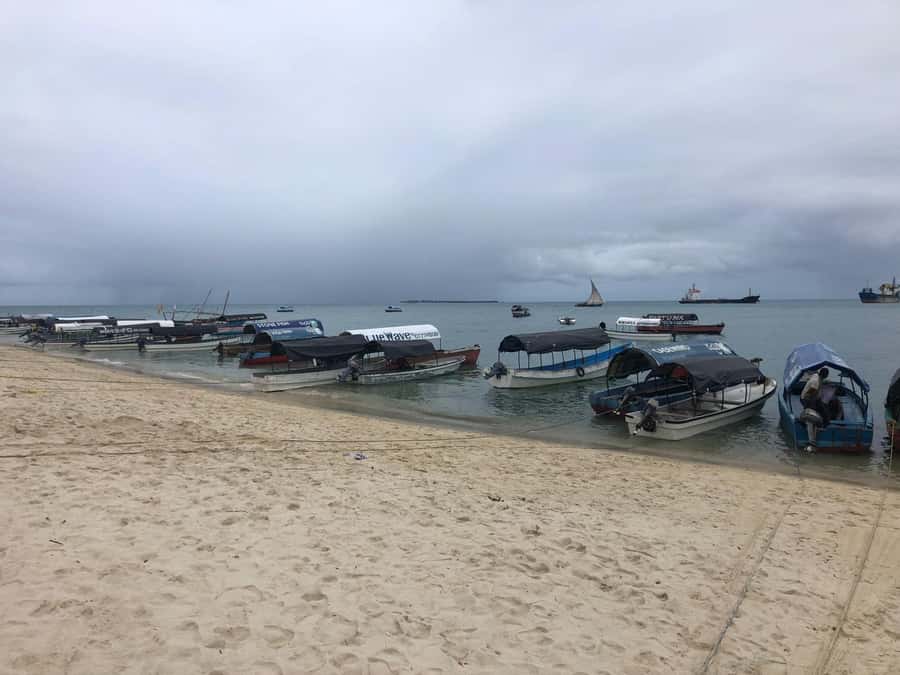 Zanzibar: Prison Island, Stone Town, & Spice Farm Tour - Key things to know before you go