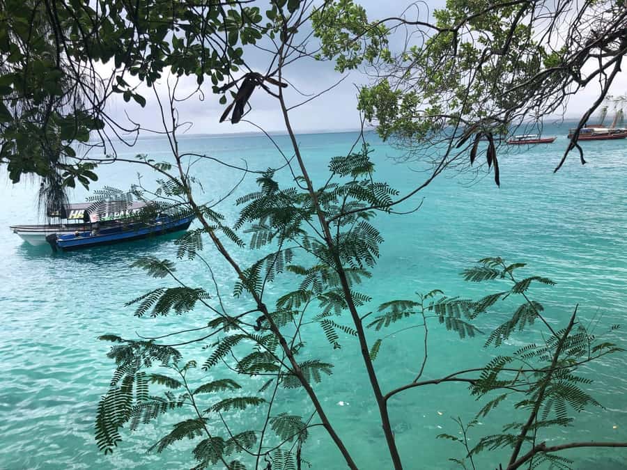 Zanzibar: Prison Island, Stone Town, & Spice Farm Tour - The spice farm: smelling, tasting, and buying spices that make sense