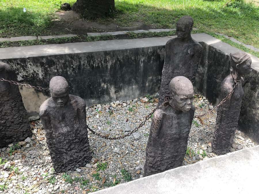 Zanzibar: Prison Island, Stone Town, & Spice Farm Tour - Who will love this tour (and who should skip it)