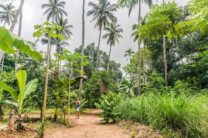 Zanzibar Private Spice Farm and Stonetown Tour(Include Lunch) - Stone Town Walking Tour: Darajani Market to Forodhani Gardens