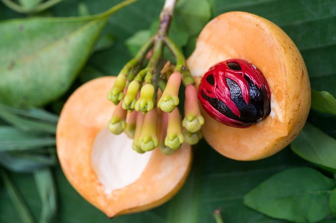 Zanzibar Spice Farm Half-Day Walking Tour - Learning Zanzibar’s spice trade without getting lost in lectures