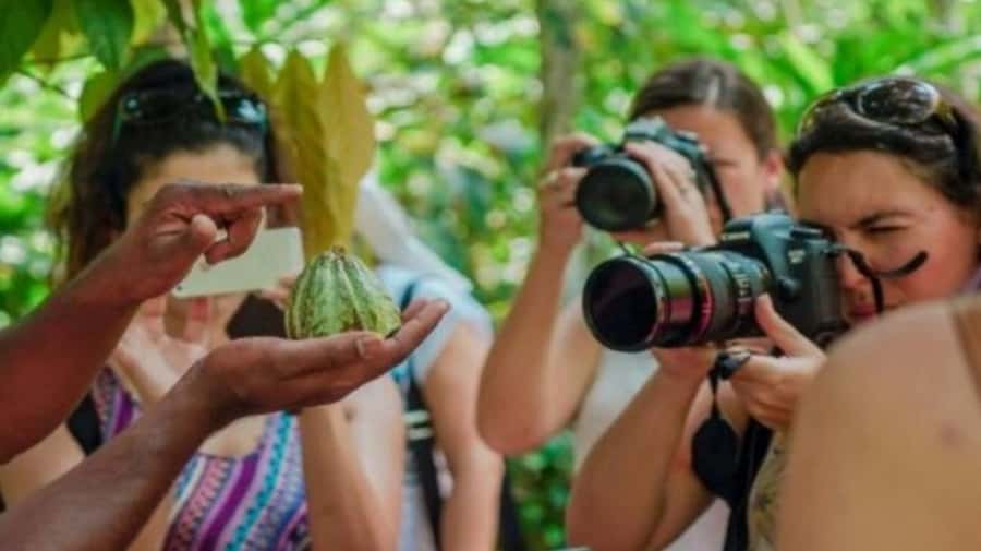 Zanzibar: Spice Farm, Jozani Forest & Sea Turtle Sanctuary - FAQ