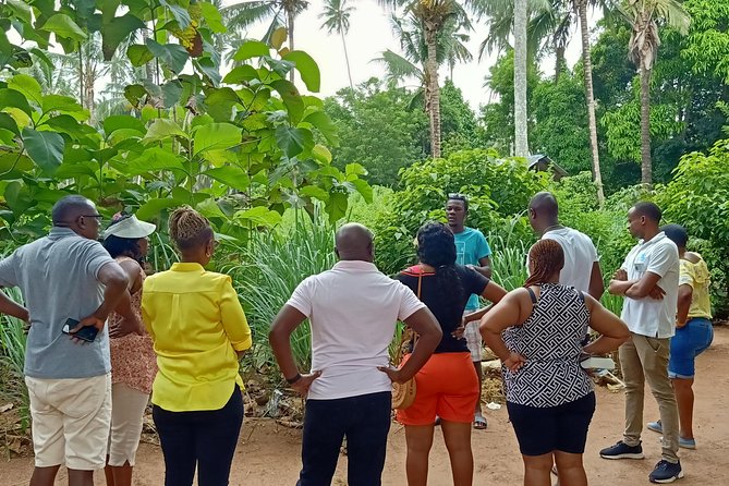 Zanzibar Spice Farm Tour - Stone Town Pickup to Tangawizi Drop-Off: Logistics That Keep It Simple