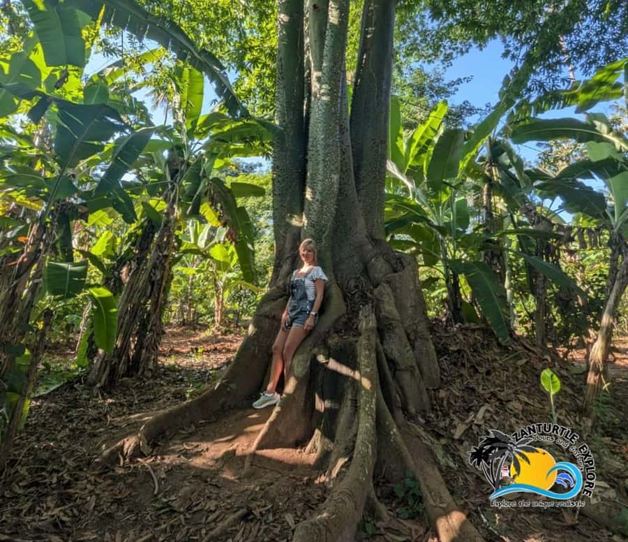 Zanzibar: Spice Farm Tour and Cooking Class with Lunch - Practical tips to make your day smoother
