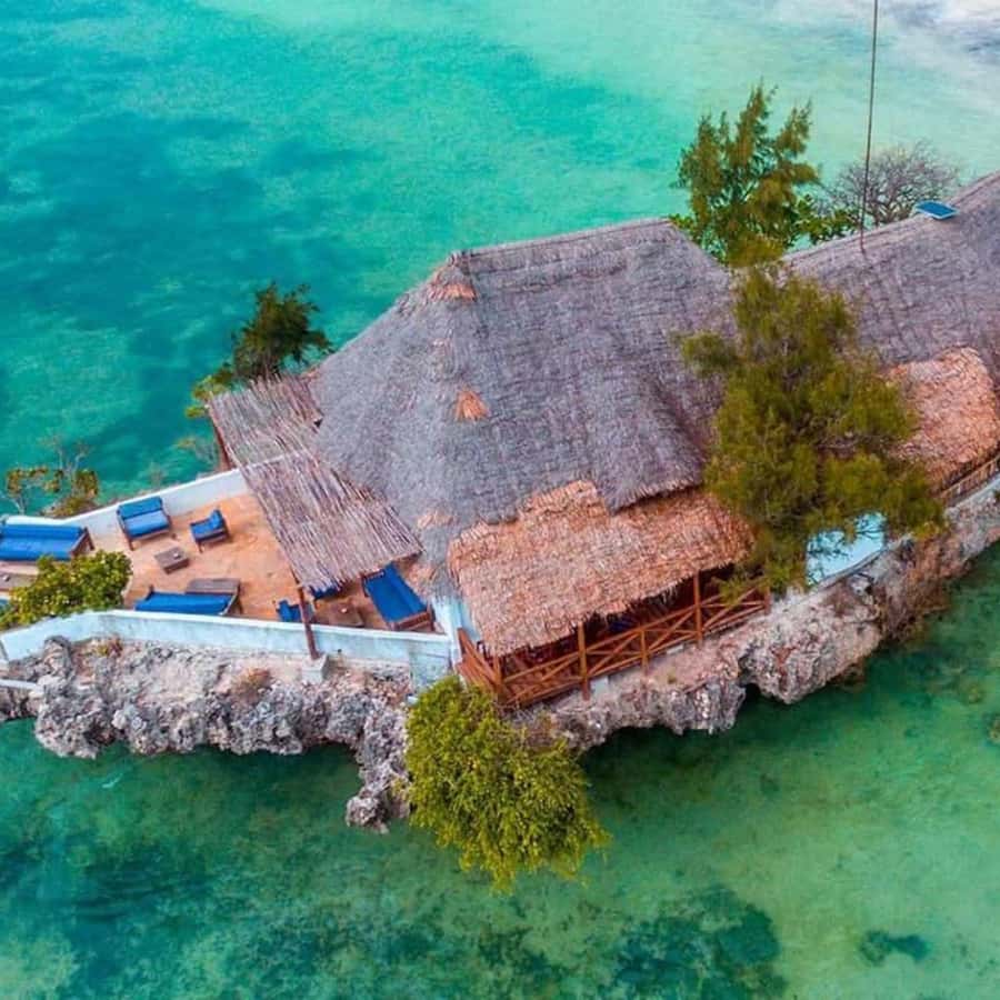 ZANZIBAR: Spice Farm Tour, Jozani Forest & Rock Restaurant - A Full-Day Combo of Spices, Monkeys, and The Rock