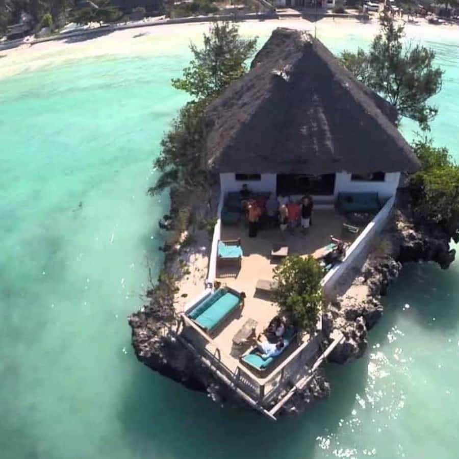 ZANZIBAR: Spice Farm Tour, Jozani Forest & Rock Restaurant - Van Rides That Actually Matter for a Packed Day
