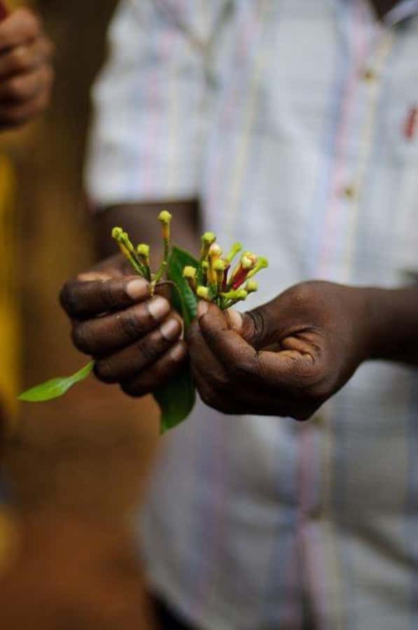 Zanzibar: Spice Farm Tour & Stone Town Adventure - Who this tour fits best (and when to skip it)