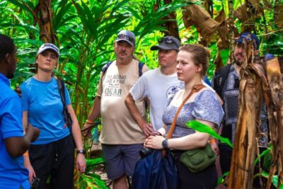 Zanzibar: Spice Farm Tour with Lunch & Tropical Fruits - The Spice Walk: From Cloves to Cardamom (and Why Smell Matters)