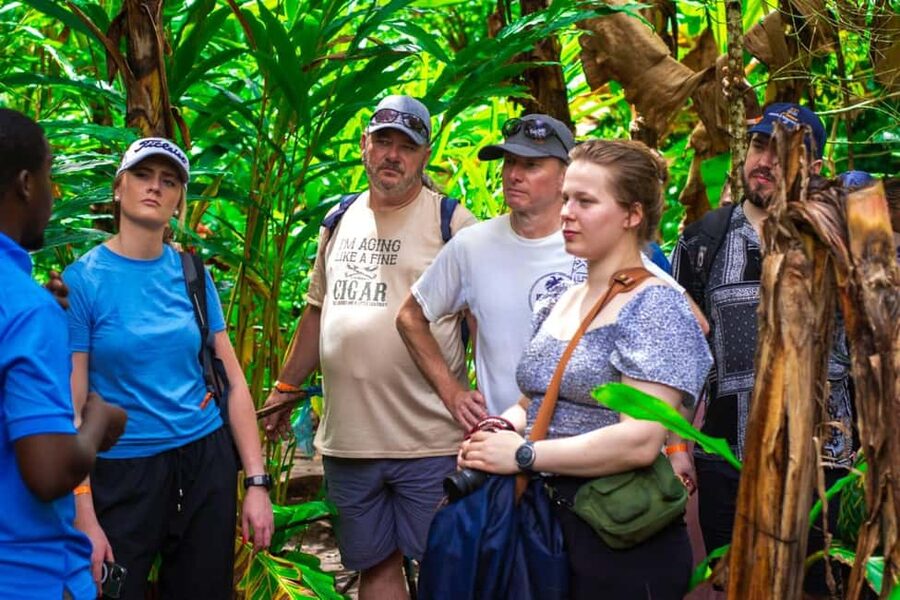 Zanzibar: Spice Farm Tour with Lunch & Tropical Fruits - The Spice Walk: From Cloves to Cardamom (and Why Smell Matters)