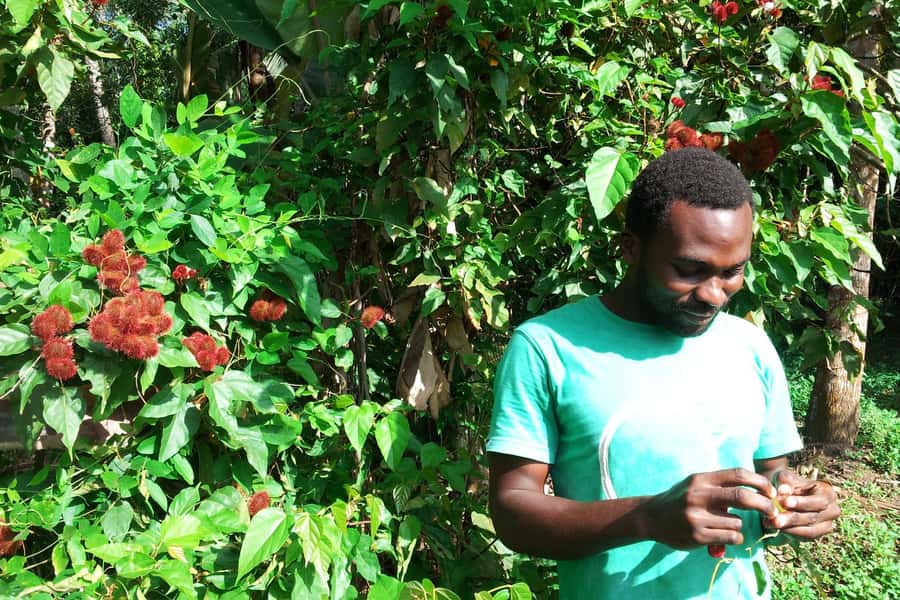 Zanzibar: Stone Town City Tour and Spice Farm with Lunch - Stone Town, UNESCO-Listed, With the Key Stops You Actually Need