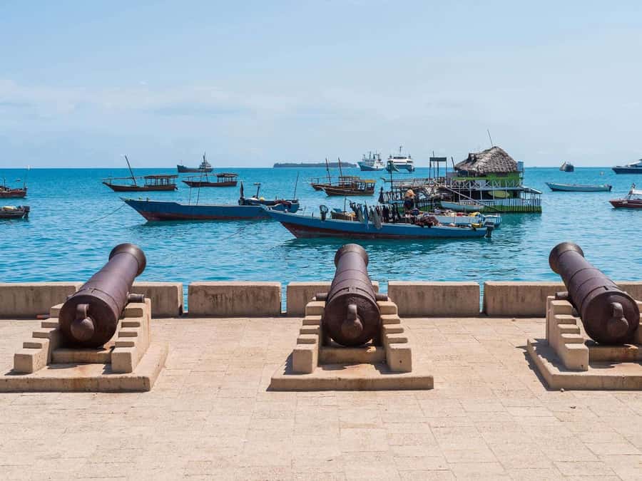 Zanzibar: Stone Town City Tour and Spice Farm with Lunch - The Old Fort, Tippu Tip’s House, and Freddie Mercury’s House
