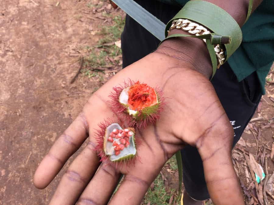 Zanzibar:Stone Town & Spice Farm Private Tour Lunch Included - From your hotel to the spice farm: how the private van shapes the day