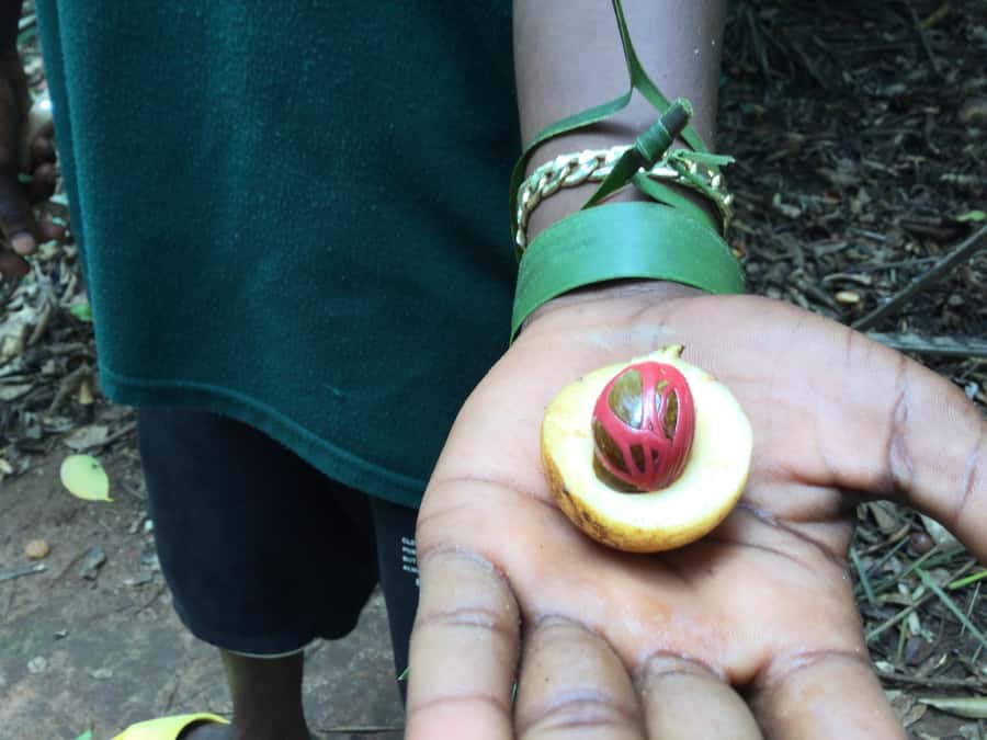 Zanzibar:Stone Town & Spice Farm Private Tour Lunch Included - Lunch at the farm: a Swahili meal tied to the ingredients you just learned