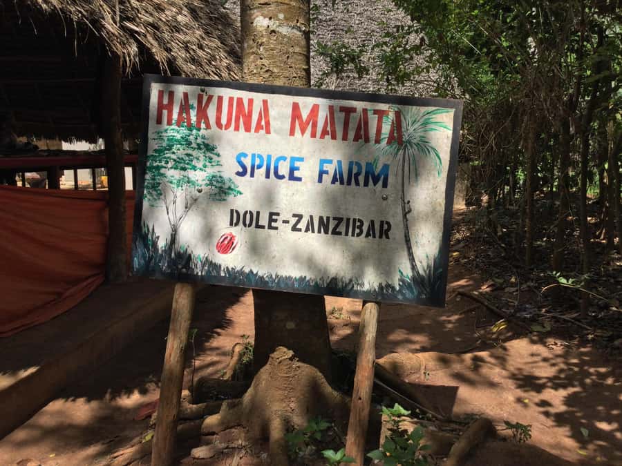Zanzibar:Stone Town & Spice Farm Private Tour Lunch Included - The Old Slave Market site: the heavy stop that deserves your full attention