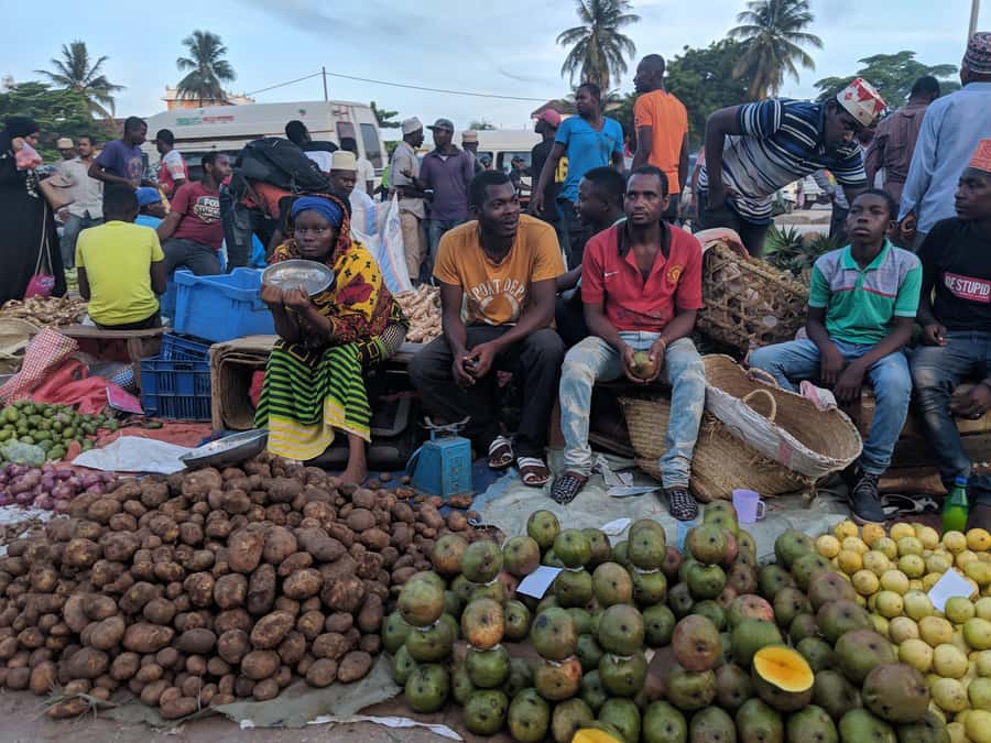 Zanzibar: Stone Town & Spice Farm Tour with Lunch - Coconut Tree Climbing, Coconut Milk, and a Hands-On Mini Cooking Moment