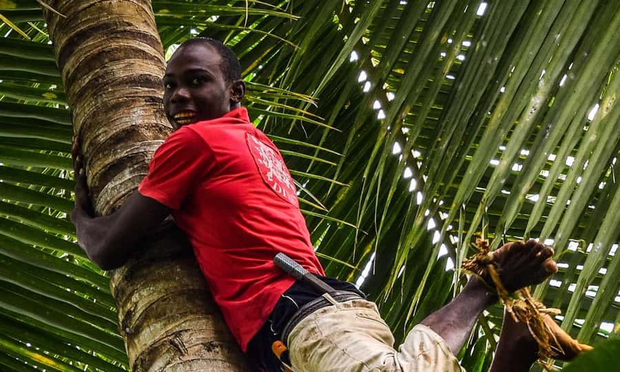 ZANZIBAR, Stone town tour, Prison Island & Spice farm - Price and value: $125 plus the one extra you should plan for