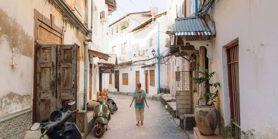 ZANZIBAR, Stone town tour, Prison Island & Spice farm - Stone Town walking tour: doorways, markets, and real historical context