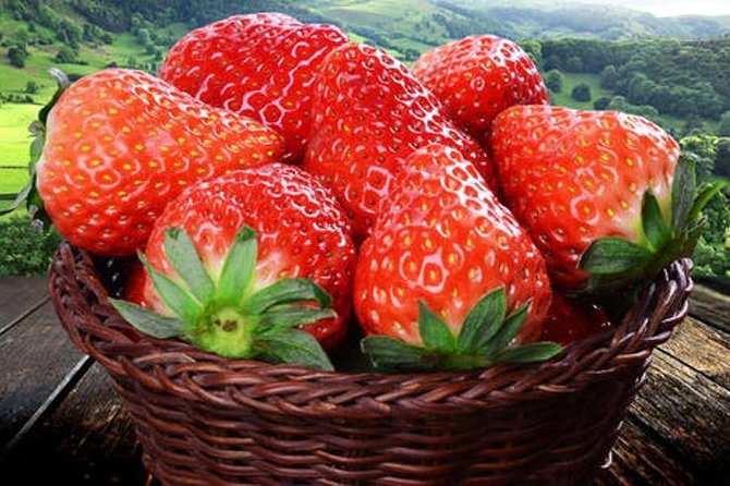 Zhujiajiao Water Town Private Tour with Local Farm Visit and Fruit Picking - Price and Value: What $170 Buys in a Private Shanghai Day