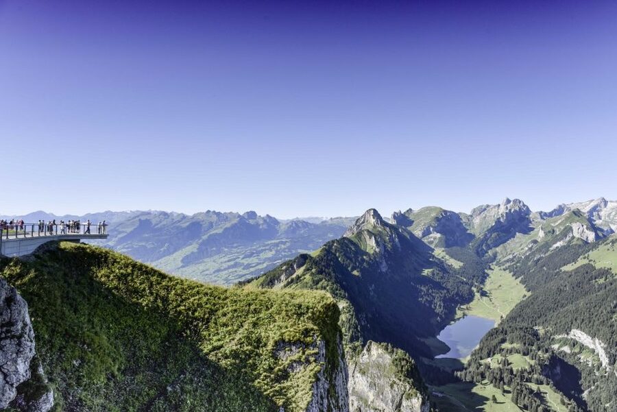Zurich: Appenzell Day Trip with Farm Visit & Cheese Tasting - Farm Visit + Appenzeller Show Dairy at Stein AR: The Cheese Story You Can Taste